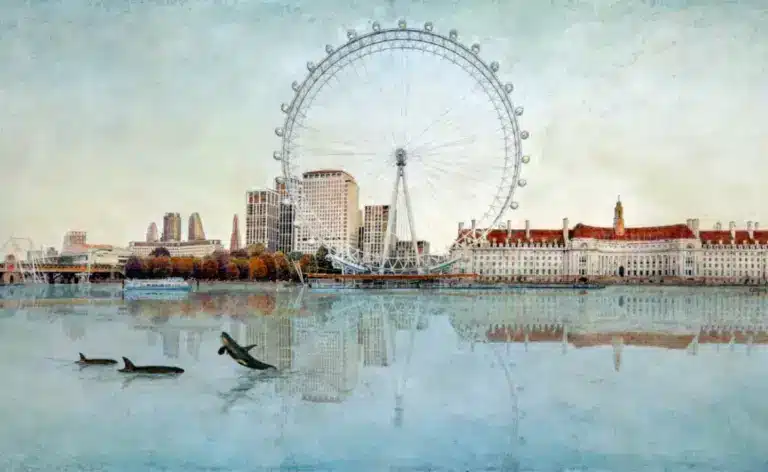 Eclectic Gallery | Human Habitats